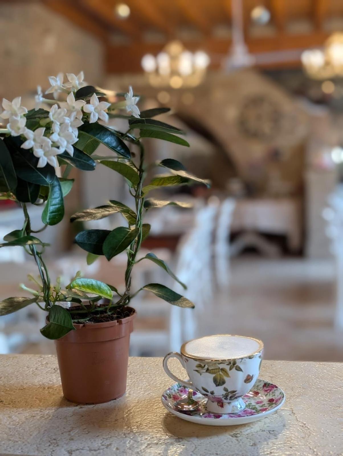 Agriturismo Le Fontanelle Da Valente Montichiari Zewnętrze zdjęcie